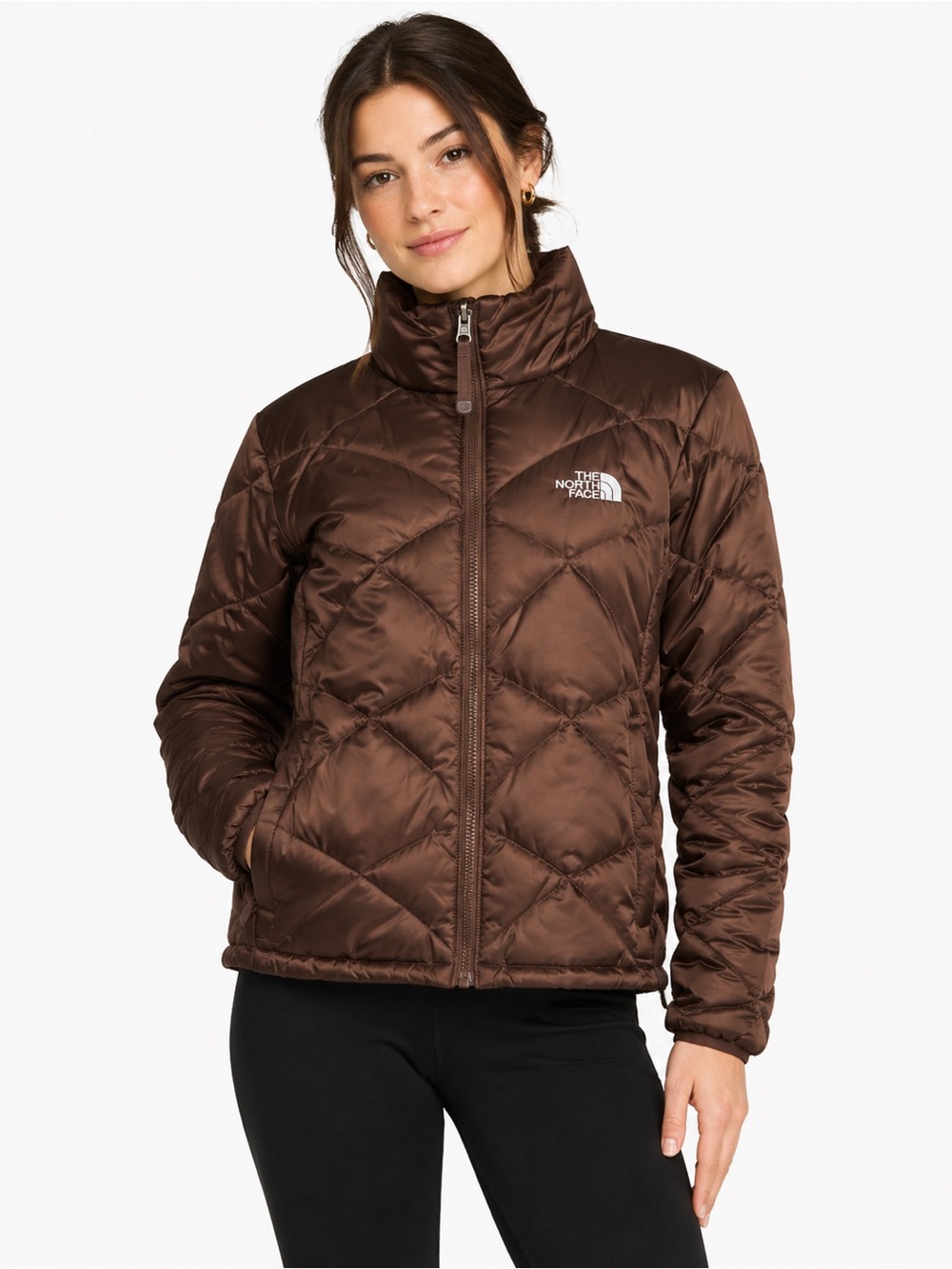 The North Face Chocolate Brown Puffer